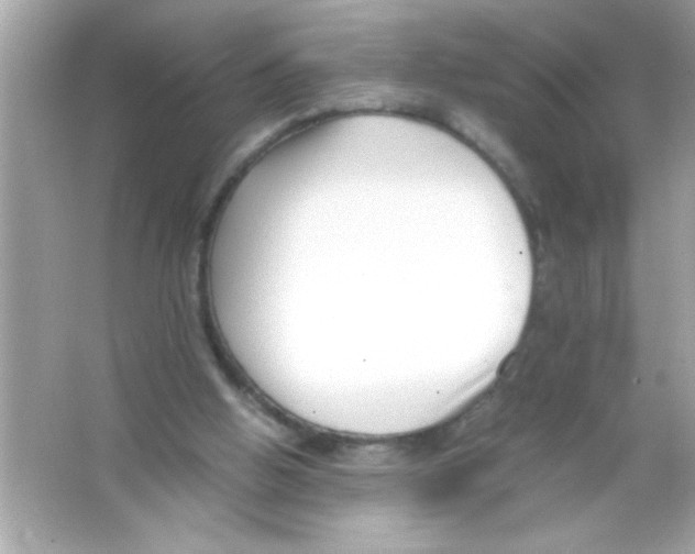 X0000065250058200603172215