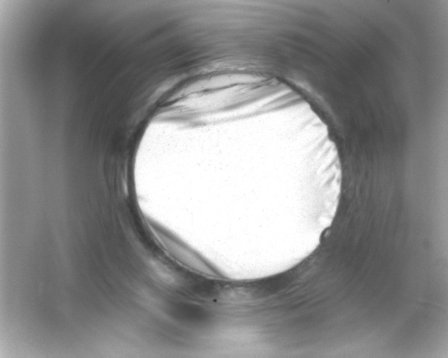 X0000065250062200603172215