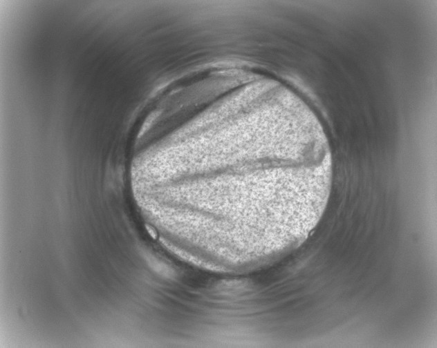 X0000065250063200603172215