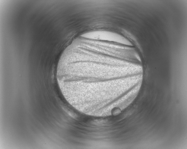 X0000065250065200603172215