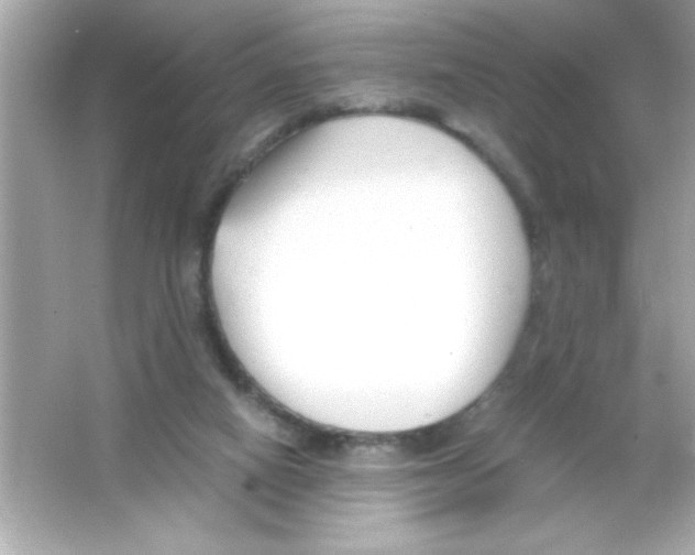 X0000065250066200603172215