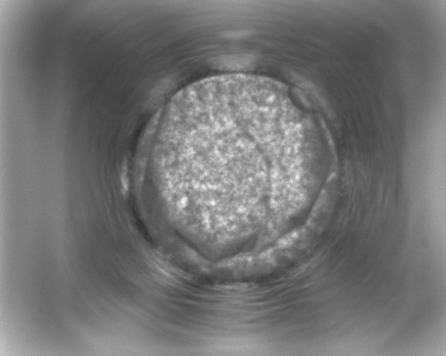 X0000065250069200603172215