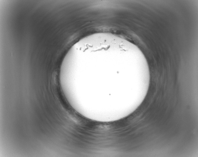 X0000065250071200603172215