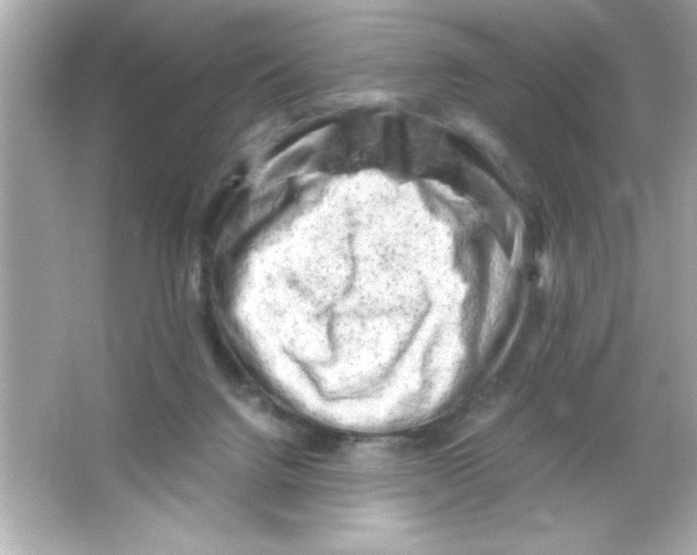 X0000065250072200603172215