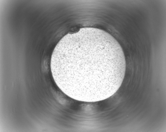 X0000065250074200603172215