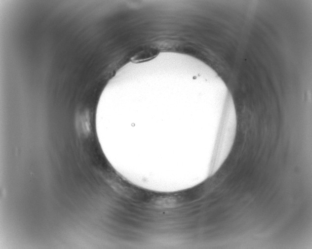 X0000065250075200603172215