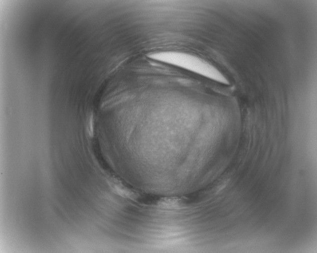 X0000065250076200603172215