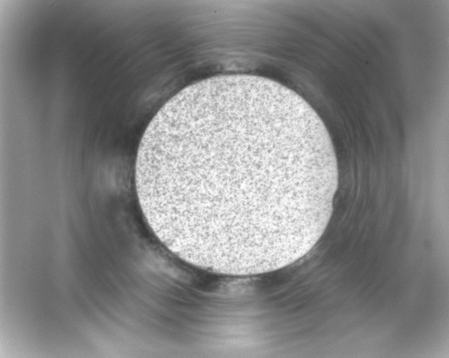 X0000065250078200603172215