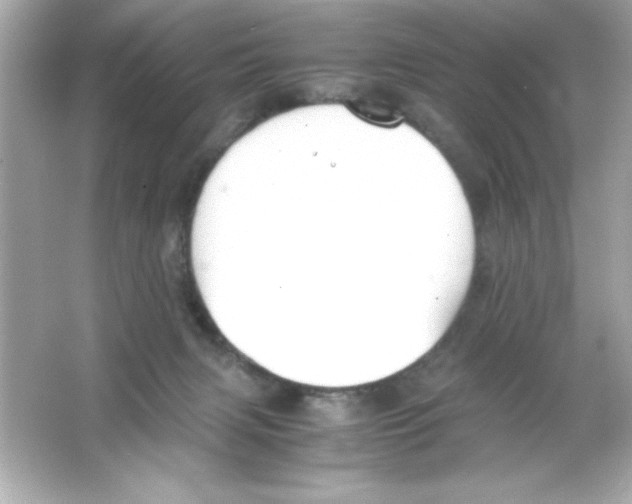 X0000065250079200603172215