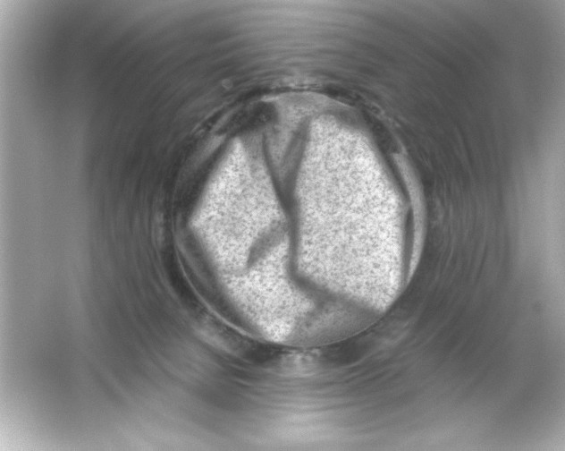 X0000065250080200603172215