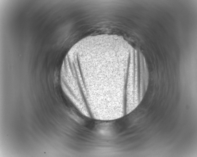 X0000065250081200603172215