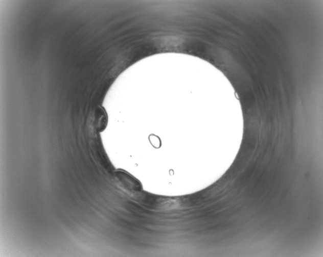 X0000065250083200603172215