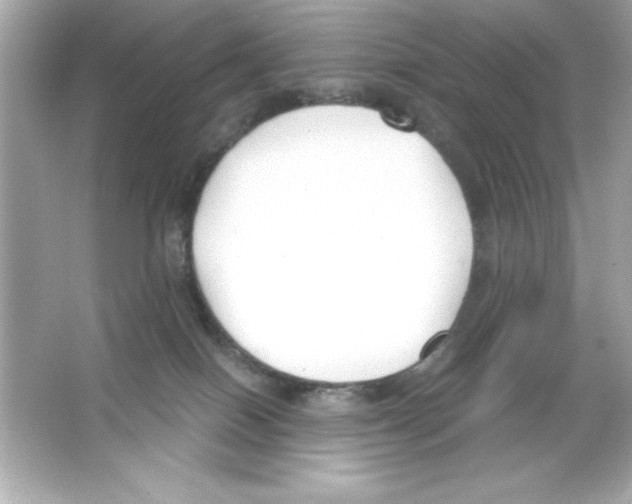 X0000065250086200603172215