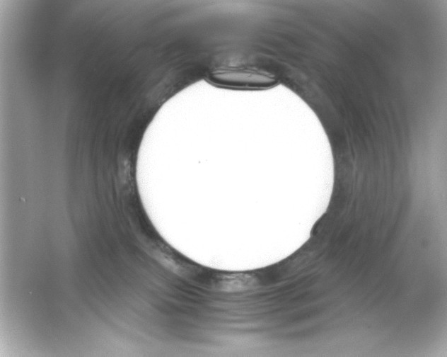 X0000065250087200603172215