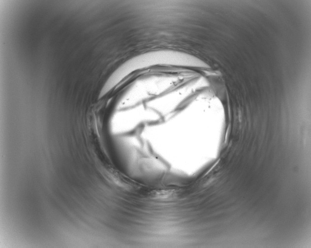 X0000065250088200603172215