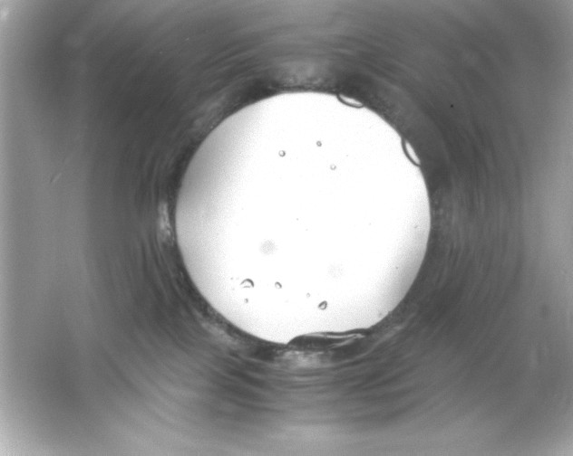 X0000065250089200603172215