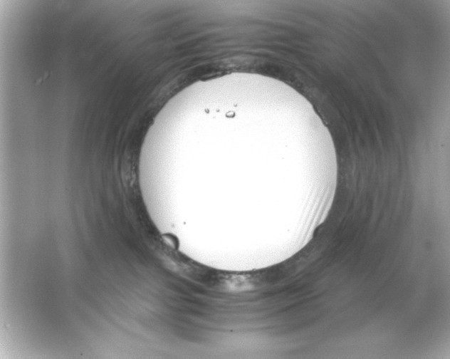 X0000065250091200603172215