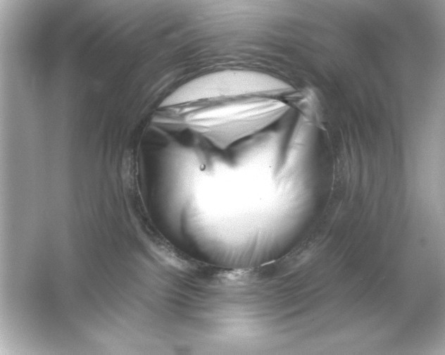 X0000065250092200603172215