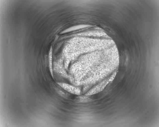 X0000065250093200603172215