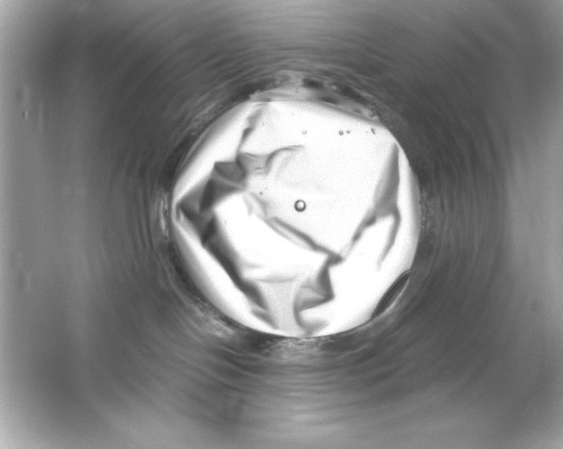 X0000065250094200603172215