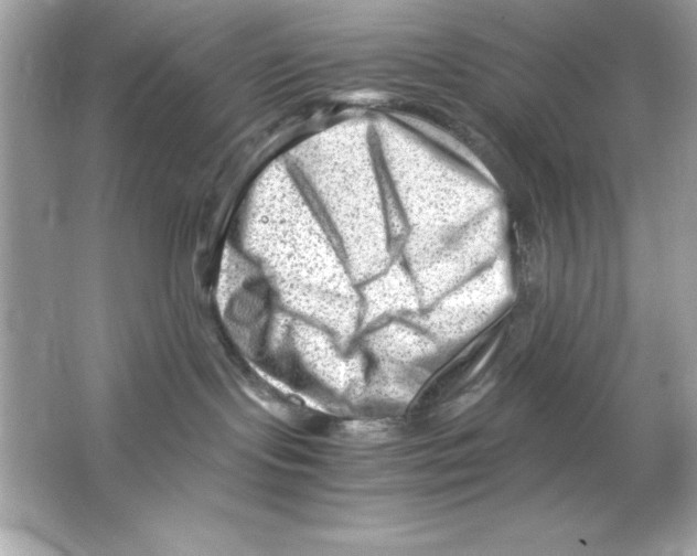 X0000065250095200603172215