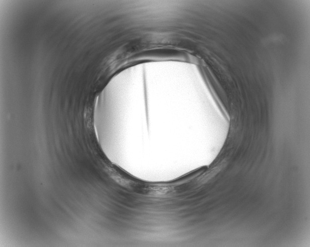 X0000065250096200603172215