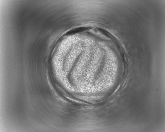 X0000065250097200603172215