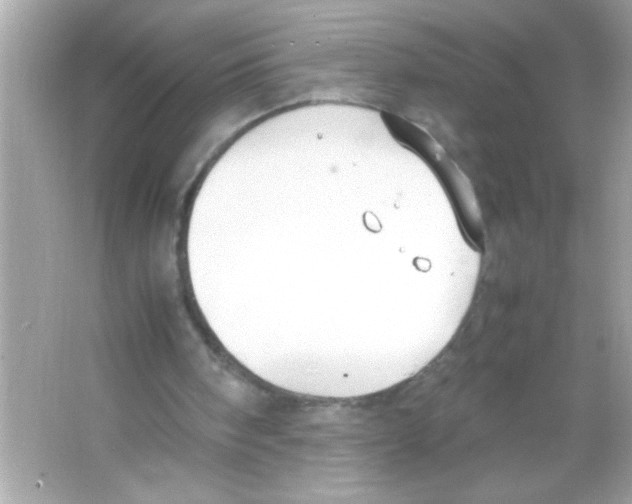 X0000065250098200603172215