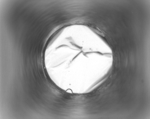 X0000065250100200603172215