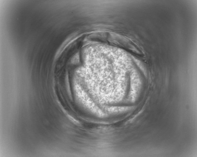 X0000065250101200603172215