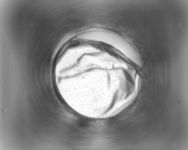 X0000065250102200603172215