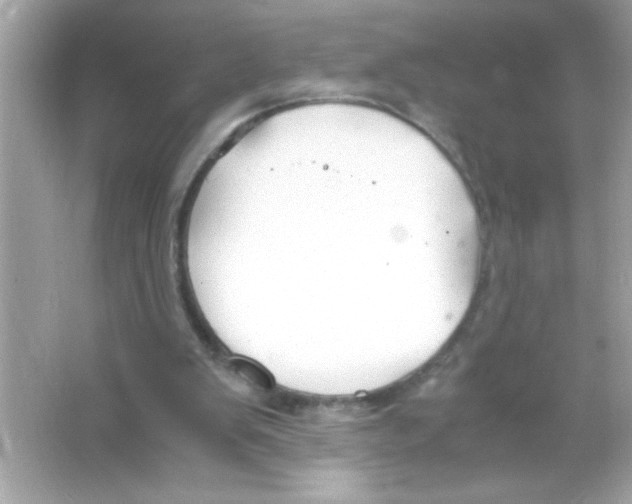 X0000065250103200603172215