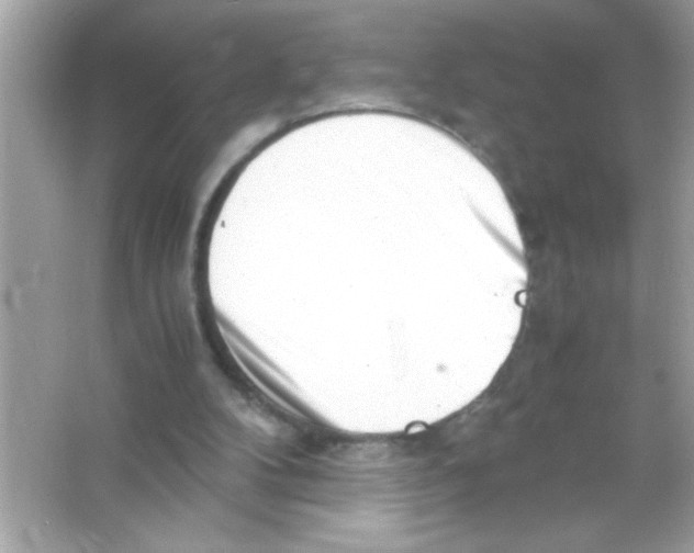 X0000065250104200603172215