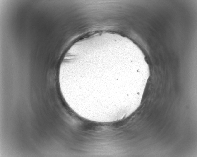 X0000065250107200603172214