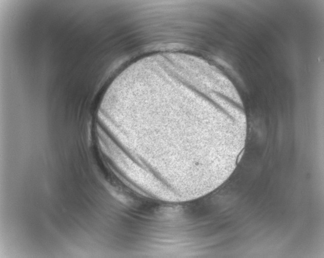 X0000065250110200603172214