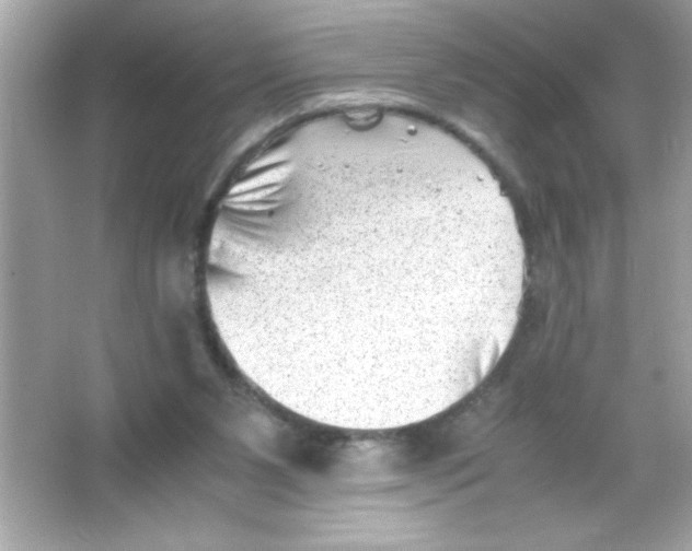 X0000065250111200603172214