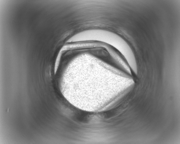 X0000065250115200603172214