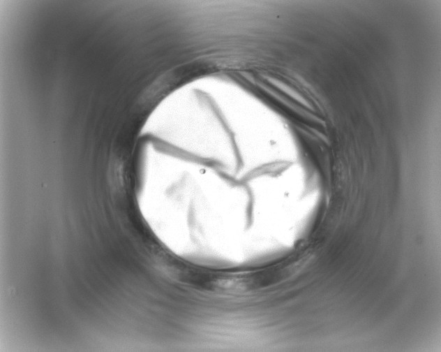 X0000065250117200603172214