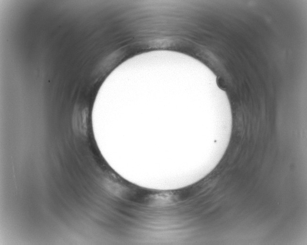 X0000065250118200603172214