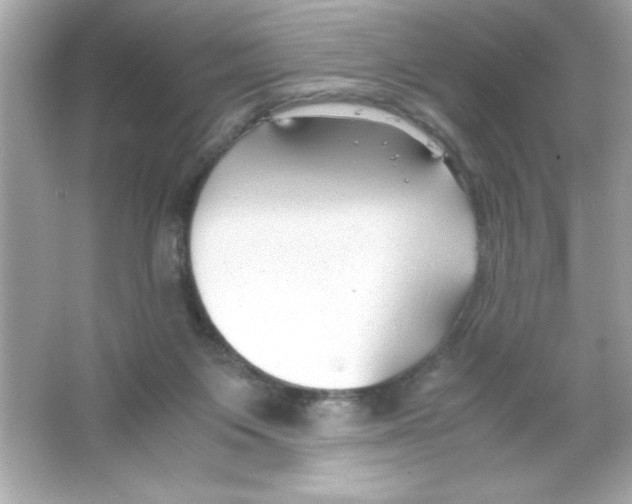 X0000065250119200603172214