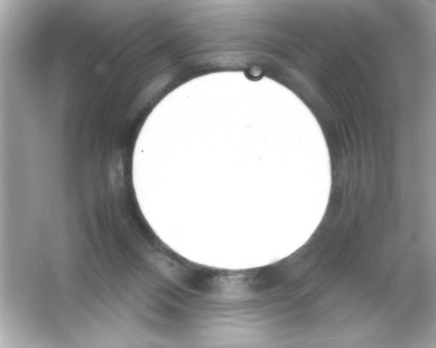 X0000065250120200603172214