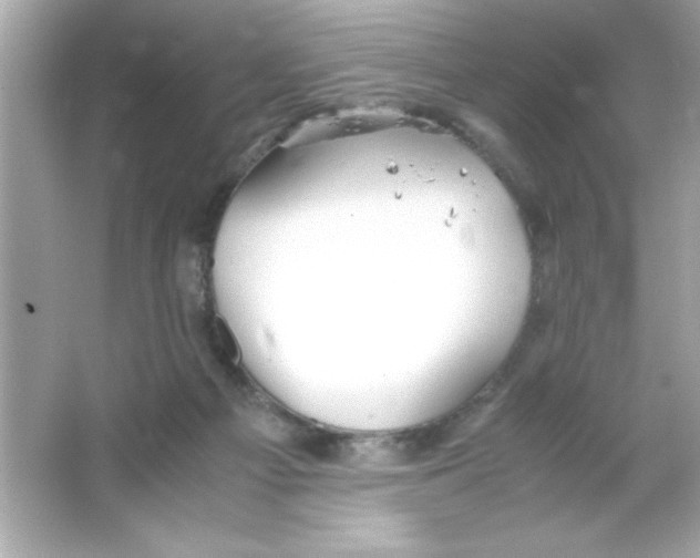 X0000065250121200603172214