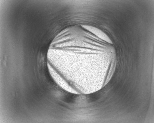 X0000065250123200603172214