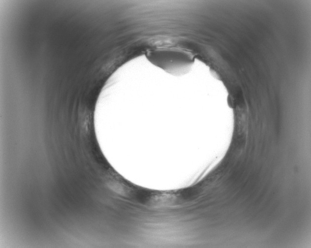 X0000065250125200603172214