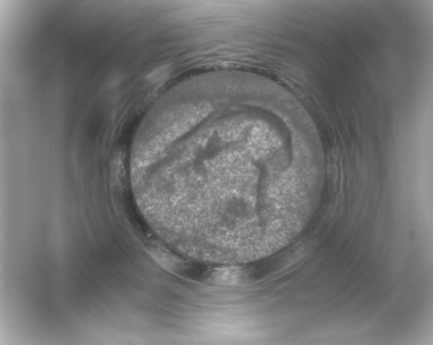 X0000065250127200603172214