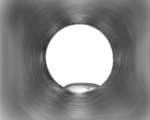 X0000065250132200603172214