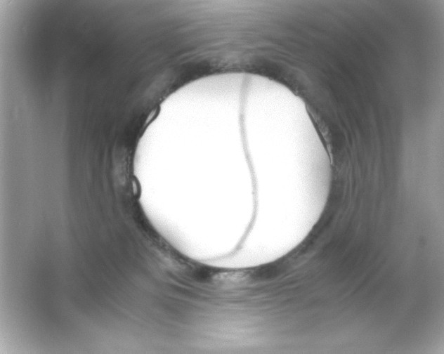 X0000065250133200603172214