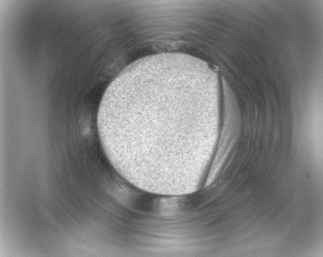 X0000065250134200603172214