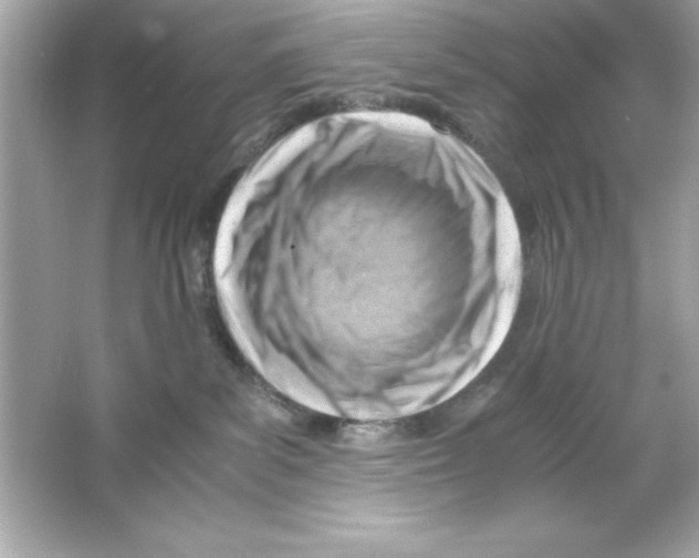 X0000065250139200603172214