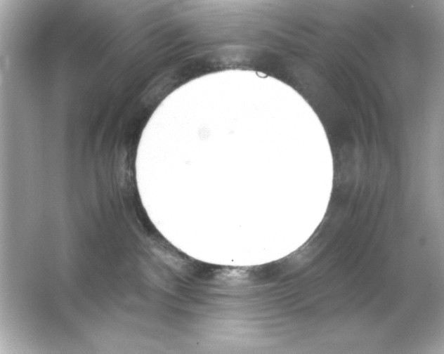 X0000065250140200603172214